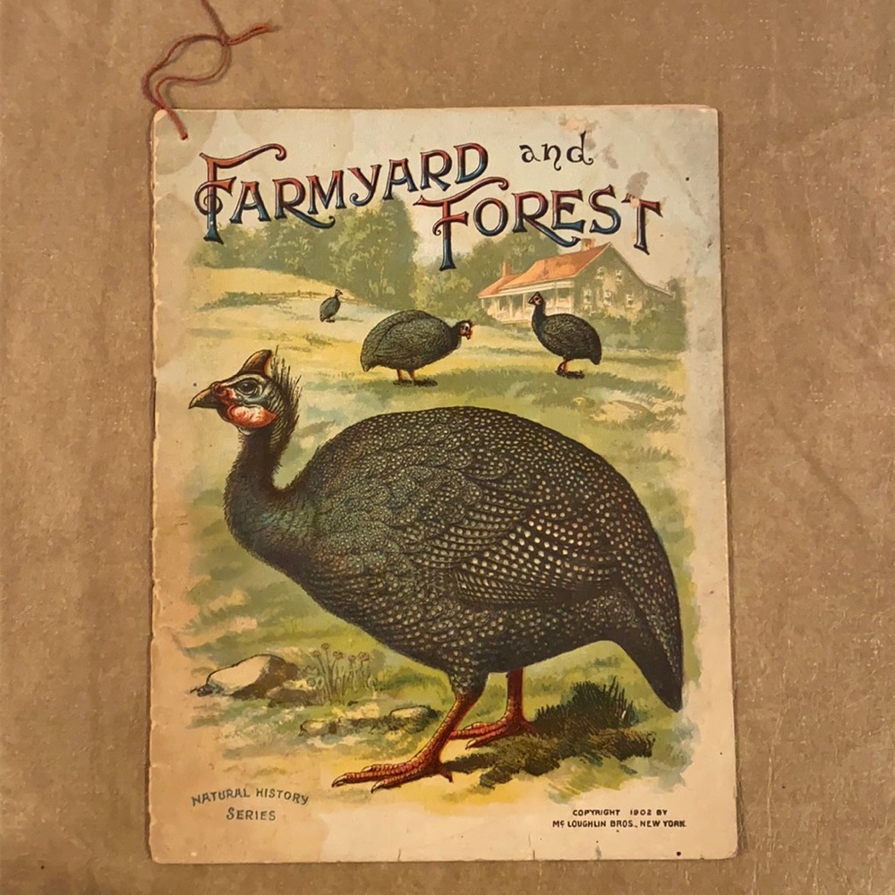 Vintage National Geographic Series - Farmyard and Forest